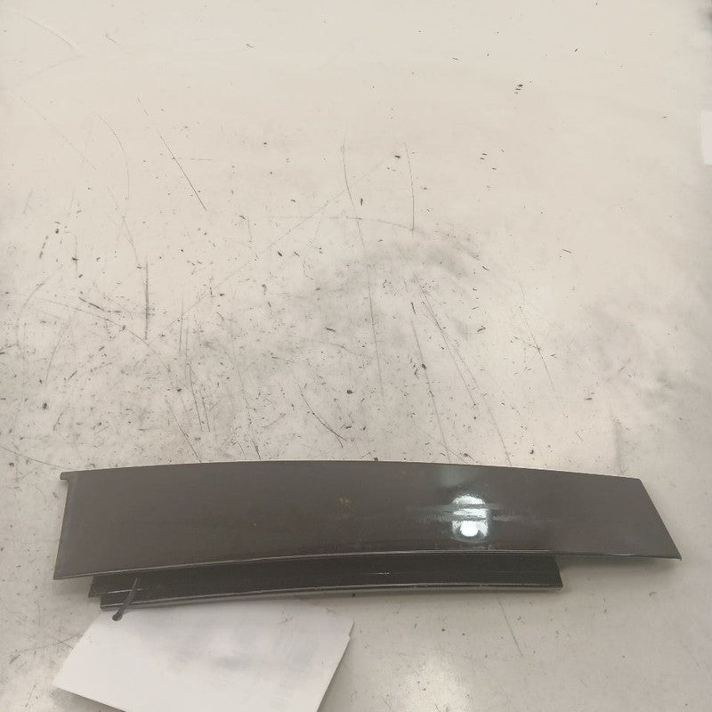 Cadillac XTS Left Rear Door Applique      2016 2017 2018