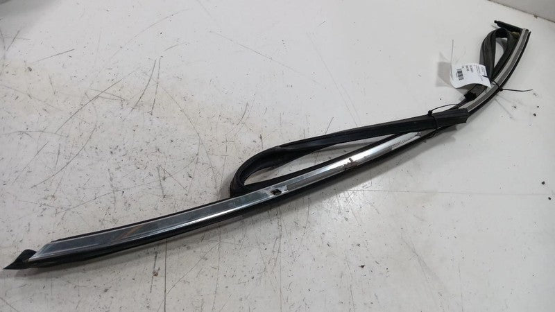 Buick Lacrosse Door Glass Window Seal Rubber Right Passenger Front  20