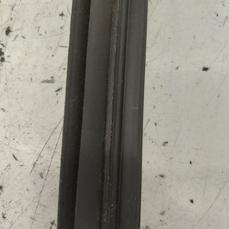 Lexus NX350 Left Rear Weather Strip Interior  2022 2023 2024 2025