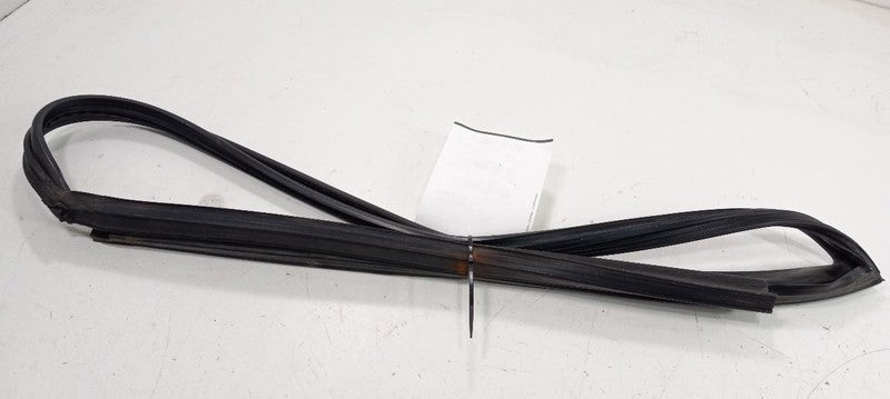 2012 Nissan Maxima Door Glass Window Seal Rubber Left Driver Front