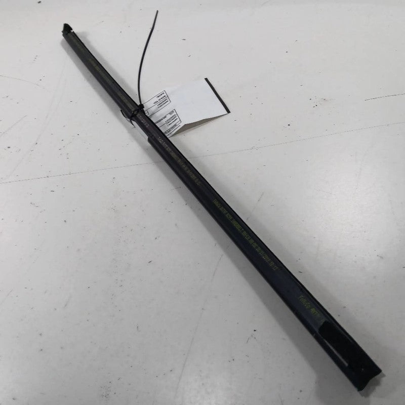 Ford Fiesta Left Front Weather Strip Interior  2016 2017 2018 2019 OEM