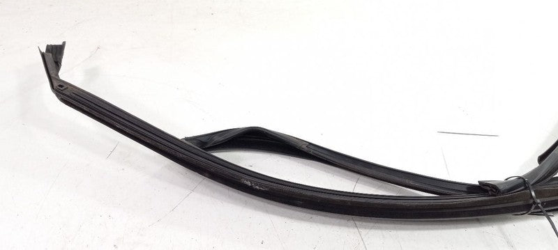 Kia Sorento Door Glass Window Seal Rubber Right Passenger Front 2016 2017 2018