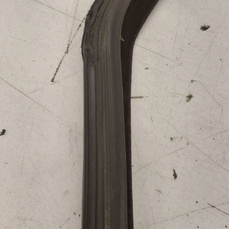 Ford Edge Door Glass Window Seal Rubber Right Passenger Rear Back 2019