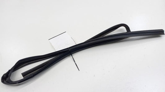 Honda Accord Door Glass Window Seal Rubber Left Rear Back 2008 2009 2010 2011
