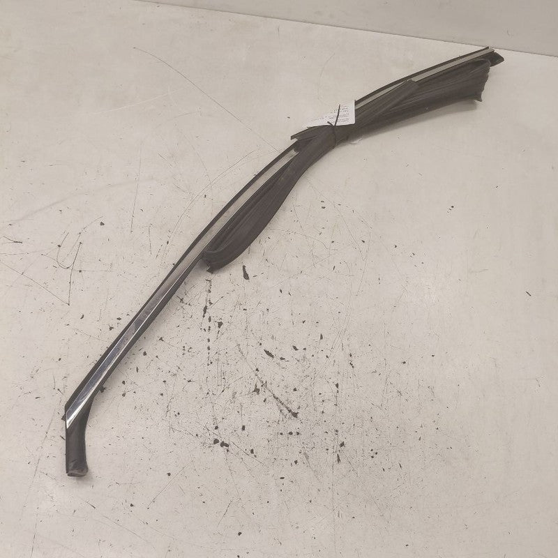 Hyundai Santa Fe Door Glass Window Seal Rubber Left Driver Front  2019