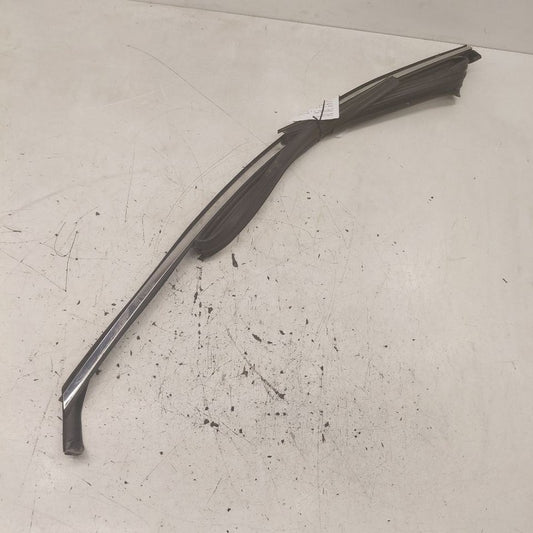 Hyundai Santa Fe Door Glass Window Seal Rubber Left Driver Front  2019