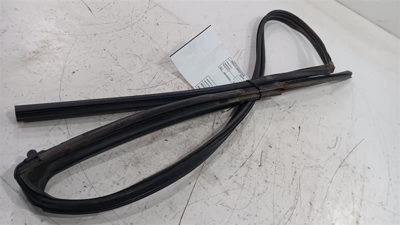 Toyota Scion IQ Door Glass Window Seal Rubber Left Driver Front  2011 2012 2013 