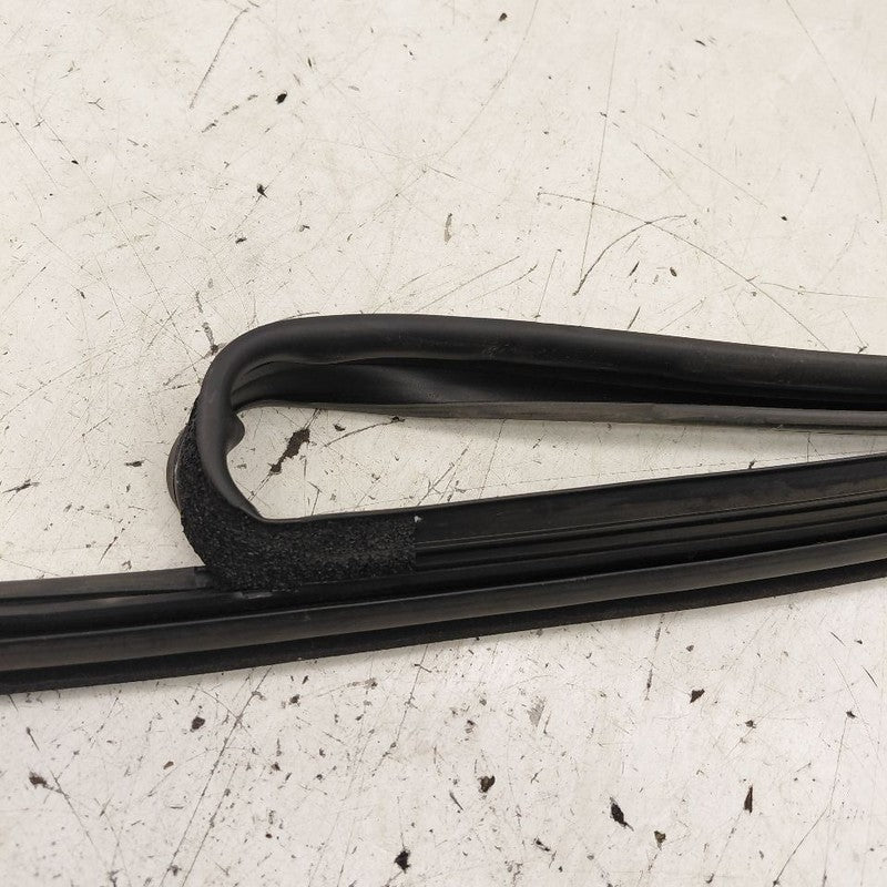 Cadillac CT6 Door Glass Window Seal Rubber Left Driver Front  2018 201
