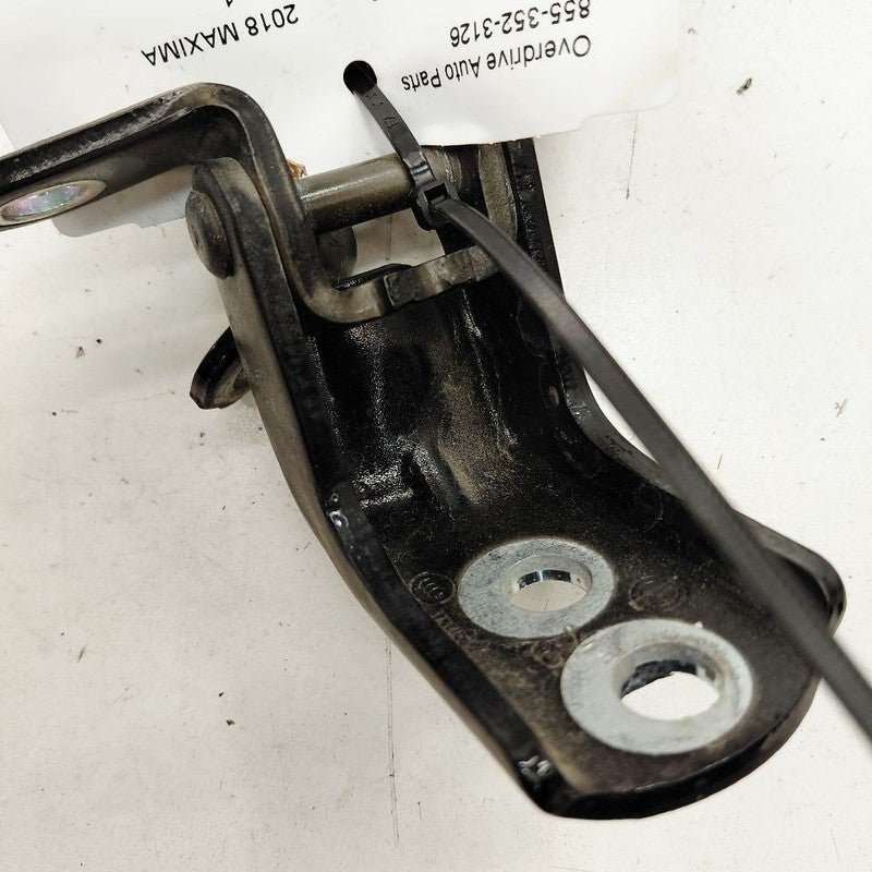 Nissan Maxima Door Hinge Set Right Rear Passenger  2018 2017 2016 OEM