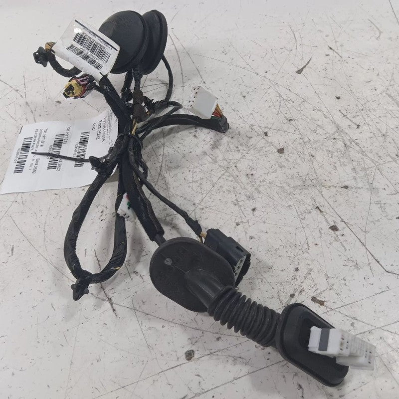 Hyundai Elantra Door Harness Wire Wiring Left Rear  2017 2018 2019 202
