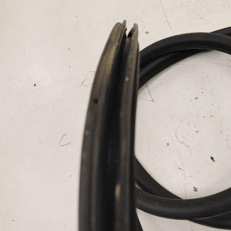 Chevy Volt On Body Door Jamb Seal Rear Left Driver Back  2019 2018 201