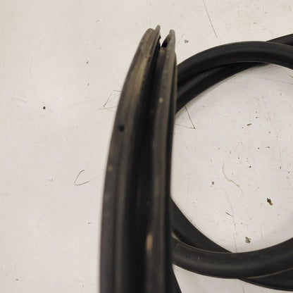 Chevy Volt On Body Door Jamb Seal Rear Left Driver Back  2019 2018 201