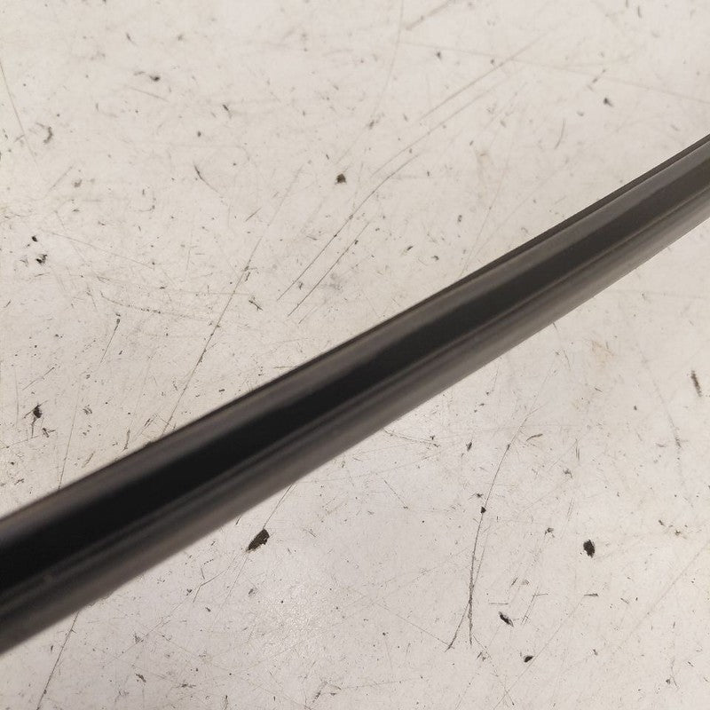 Chevy Trax Door Glass Window Weather Strip Trim Front Right Passenger 