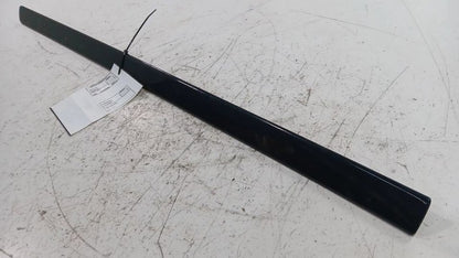 Chevy Traverse Door Molding Trim Strip Left Driver Front  2010 2011 20