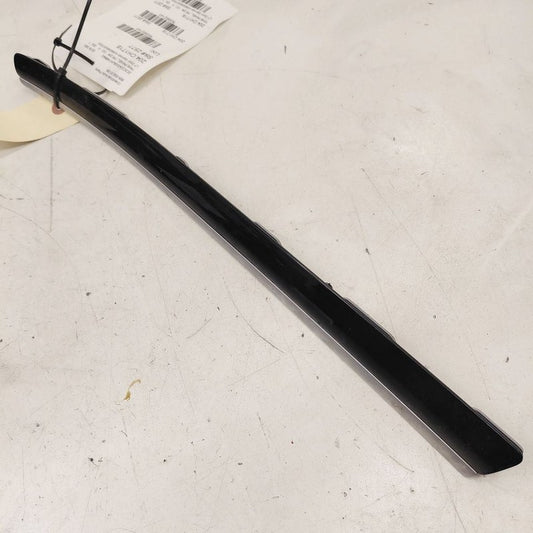 Chrysler 300 Driver Left Front Door Trim Garnish {AI59309XST003} 2017 
