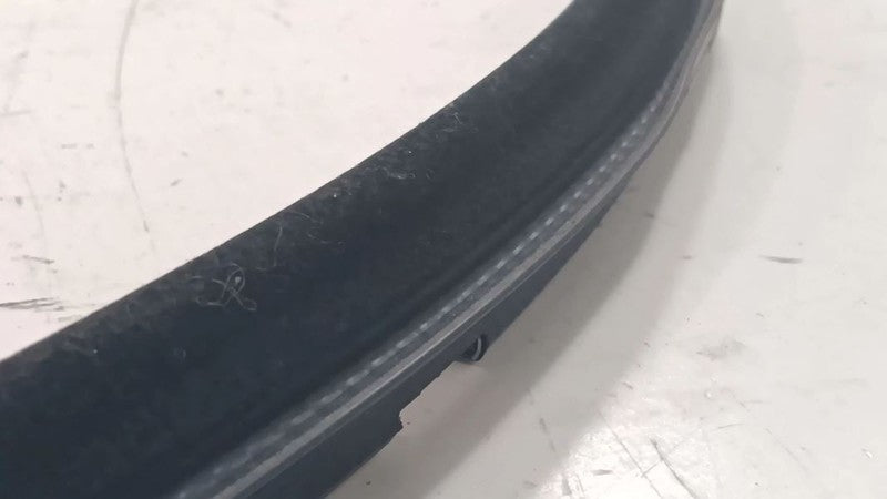 Fiat 500 Driver Left Front Weather Strip Interior  2012 2013 2014 2015 2016 2017