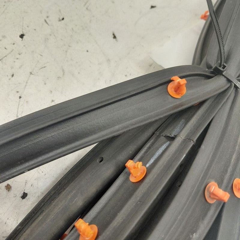 Ford Escape On Door Seal Rubber Left Driver Rear Back  2020 2021 2022