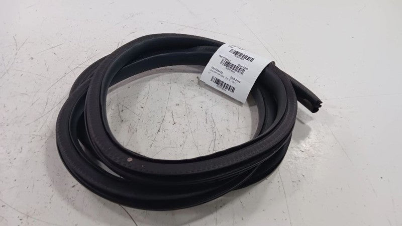 Ford Escape On Body Door Jamb Seal Rear Left Back  2020 2021 2022 2023