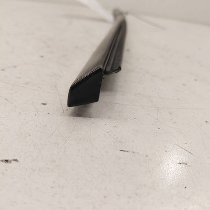 Chevy Volt Door Glass Window Weather Strip Trim Front Right Passenger 