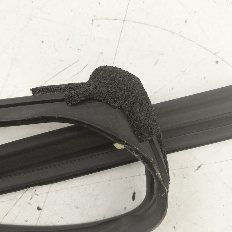 Honda HR-V Door Glass Window Seal Rubber Left Driver Rear Back  2026 2