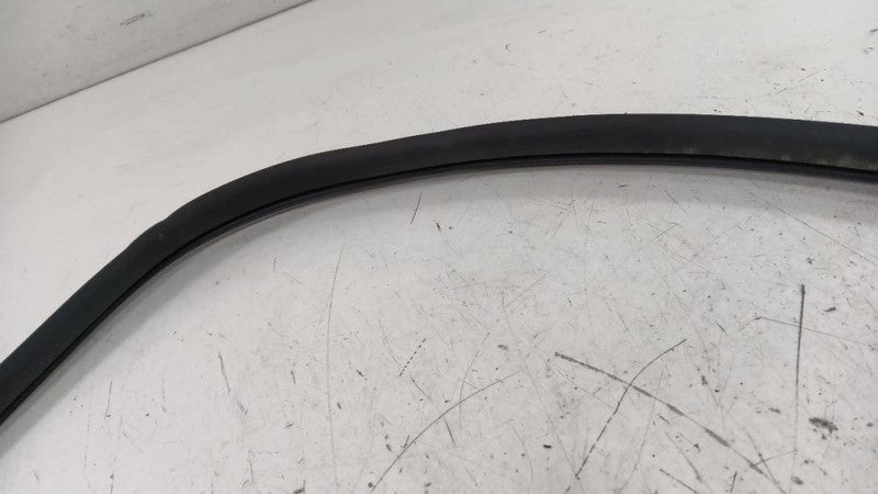 Hyundai Sonata On Body Door Jamb Seal Front Right Passenger 2011 2012 