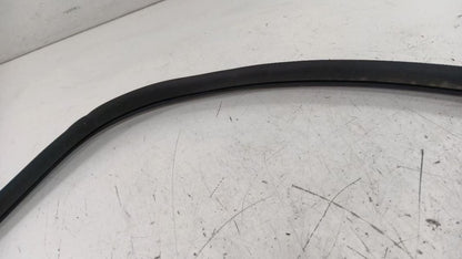 Hyundai Sonata On Body Door Jamb Seal Front Right Passenger 2011 2012 