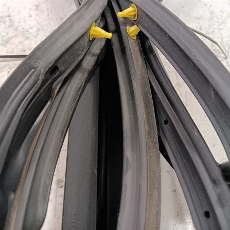 Toyota Rav 4 On Door Seal Rubber Right Passenger Front  2015 2016 2017 2018