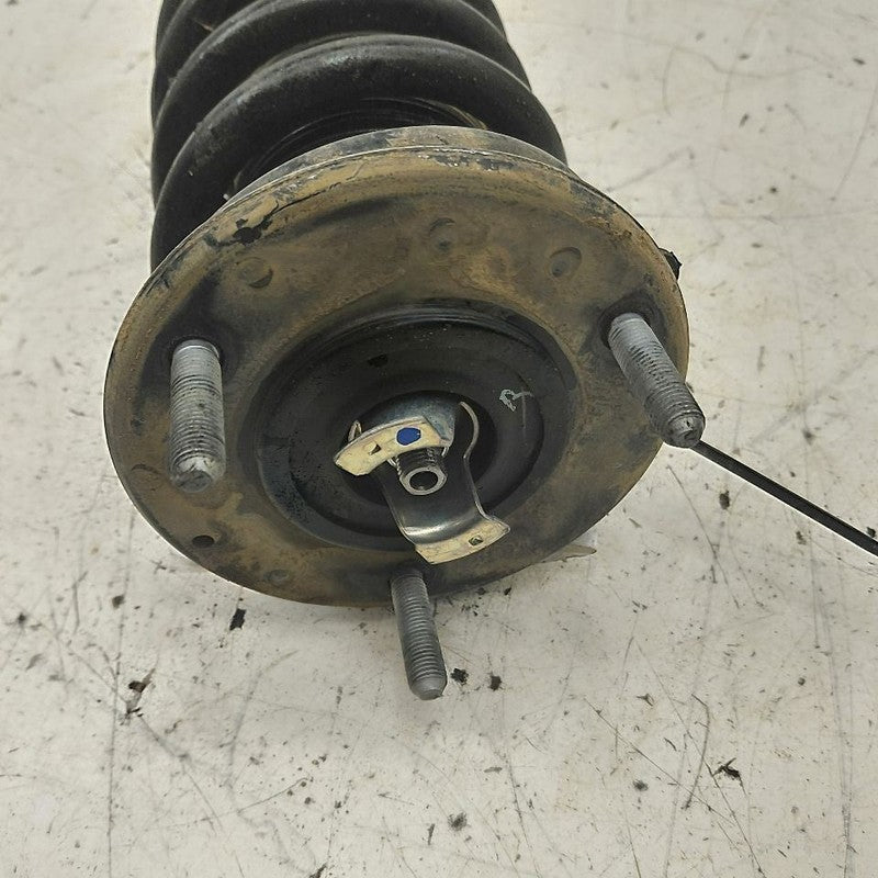 Passenger Right Front Strut AWD Without Sport Package Fits 14-20 Lexus