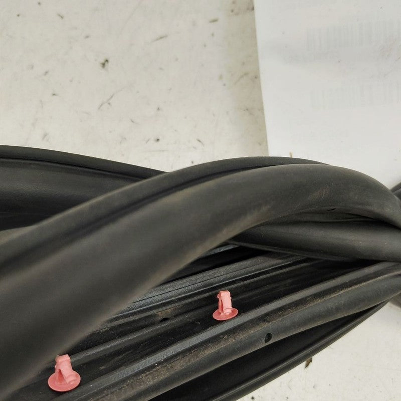 Ford Escape On Door Seal Rubber Left Driver Front  2022 2023 2024