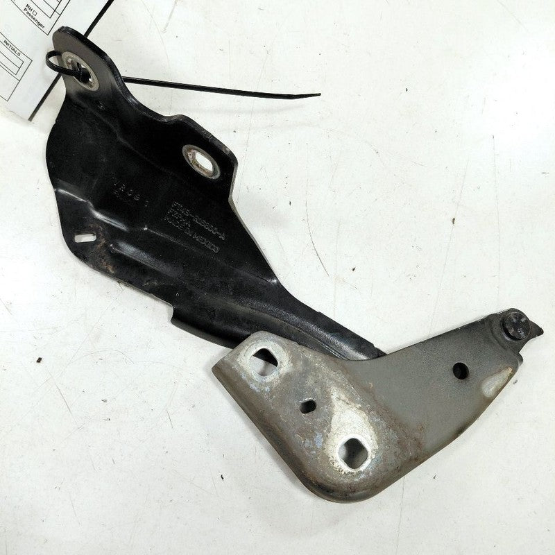 Ford Edge Passenger Right Hood Hinge 2019 2020 2021 2022 2023 2024 OEM