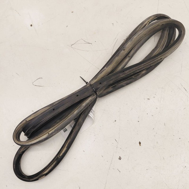 Chevy Volt On Door Seal Rubber Left Driver Rear Back  2019 2018 2017 2
