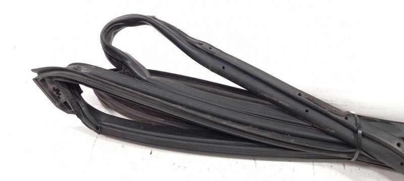 Subaru Impreza On Door Seal Rubber Right Passenger Front 2020 2019 201