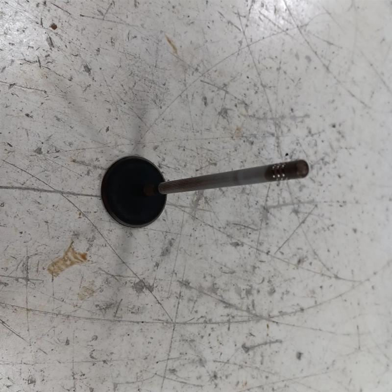 Dodge Dart Intake Valve 2013 2014 2015 2016