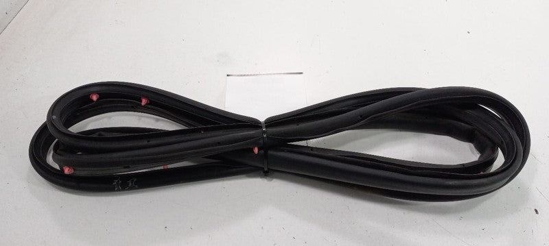 Cadillac XTS On Door Seal Rubber Left Rear Back 2013 2014 2015 2016 2017