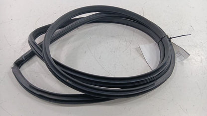 Infiniti G37 On Body Door Jamb Seal Front Right Passenger  2011 2012 2013