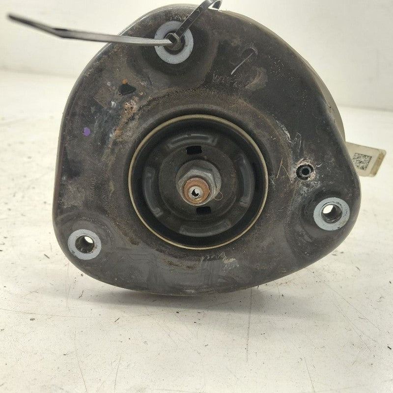 Passenger Right Front Strut AWD Fits 20-22 Ford Escape