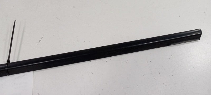 Kia Forte Door Glass Window Weather Strip Trim Rear Left Back 2010 2011 
