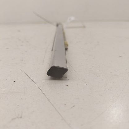 Lexus IS350 Door Glass Window Weather Strip Trim Rear Left Driver Back