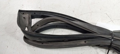 Hyundai Sonata On Door Seal Rubber Left Rear Back 2011 2012 2013 OEM