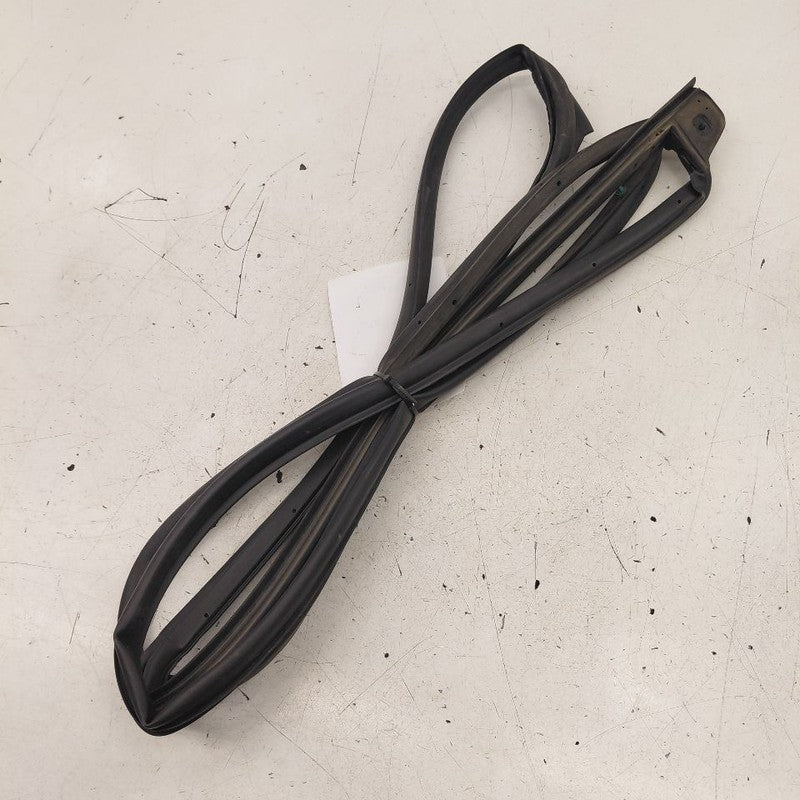 Hyundai Veloster On Door Seal Rubber Left Driver Front  2017 2016 2015