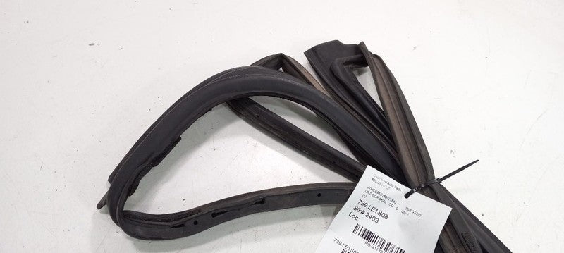 Lexus GS350 On Door Seal Rubber Left Rear Back 2007 2008 2009 OEM