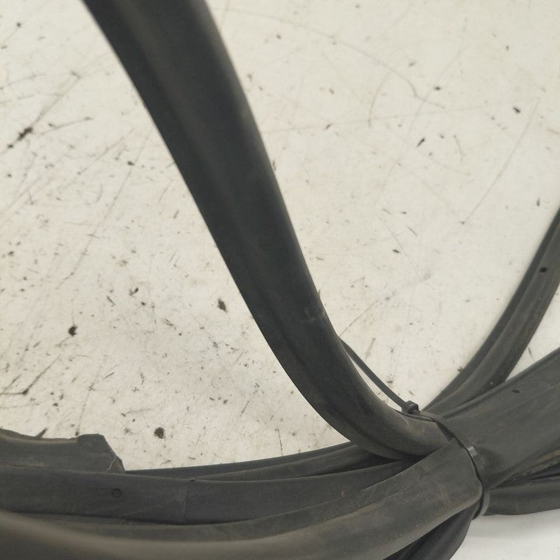 Honda CR-V On Door Seal Rubber Right Passenger Rear Back  2019 2018 20