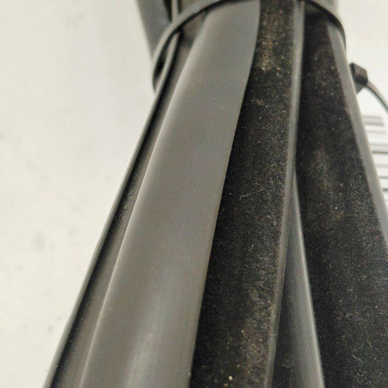 Ford Ecosport Door Glass Window Seal Rubber Right Passenger Rear Back 