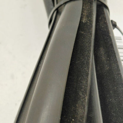 Ford Ecosport Door Glass Window Seal Rubber Right Passenger Rear Back 