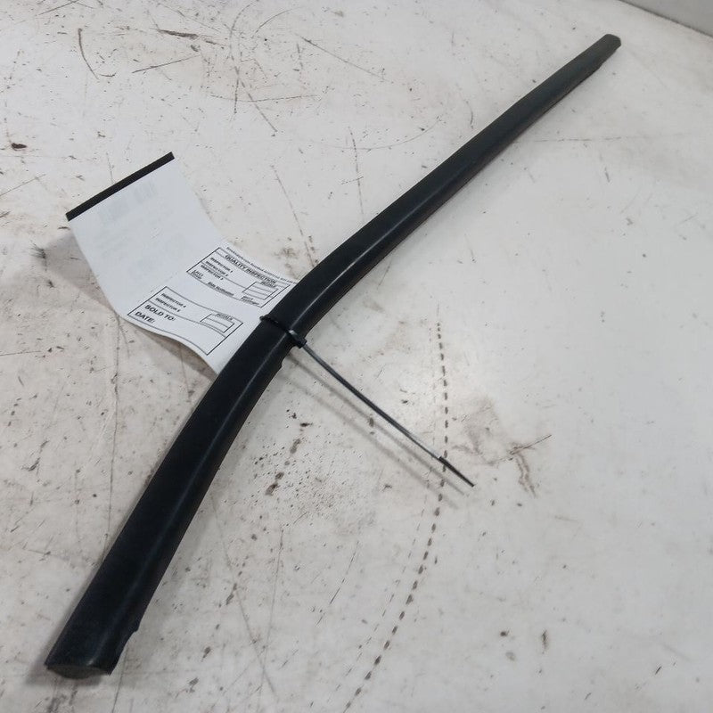 Jeep Renegade Door Glass Window Weather Strip Trim Front Right Passeng