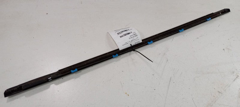 Hyundai Elantra Door Glass Window Weather Strip Trim Rear Left Back 20