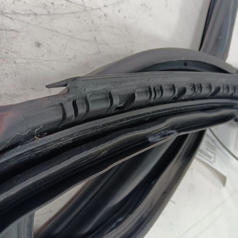 Mini Cooper On Body Door Jamb Seal Gasket Front Left Driver  2016 2017