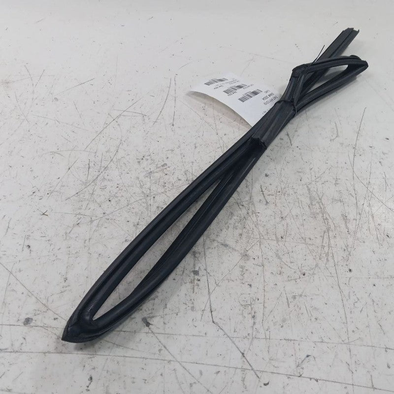 Hyundai Tucson Door Glass Window Seal Rubber Left Rear Back  2019 2020 20