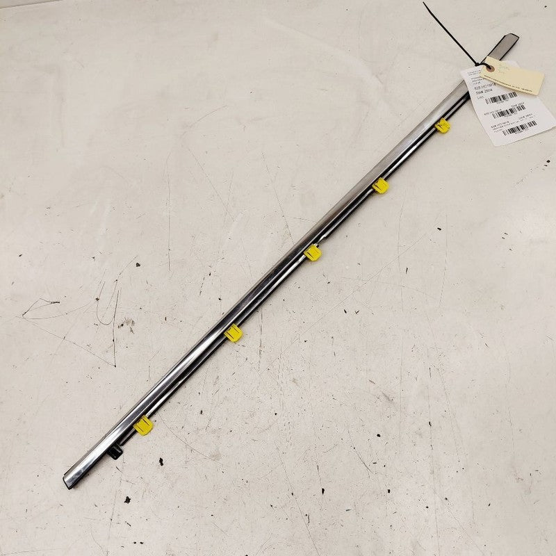 Honda CR-V Door Glass Window Weather Strip Trim Rear Left Driver Back 