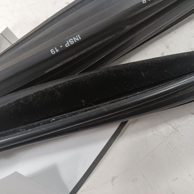 Ford Ecosport Door Glass Window Seal Rubber Right Passenger Front 2022